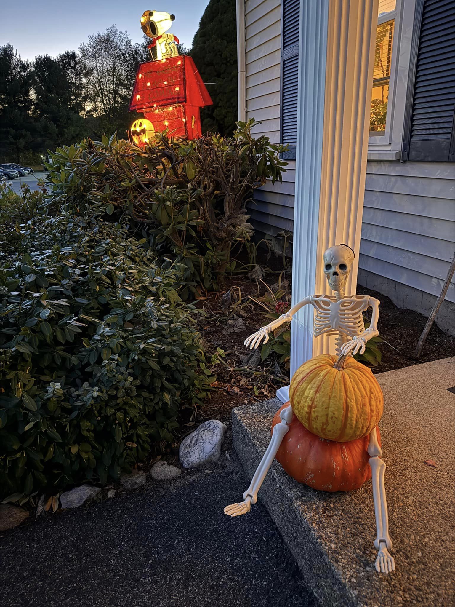 Carousel Image 14